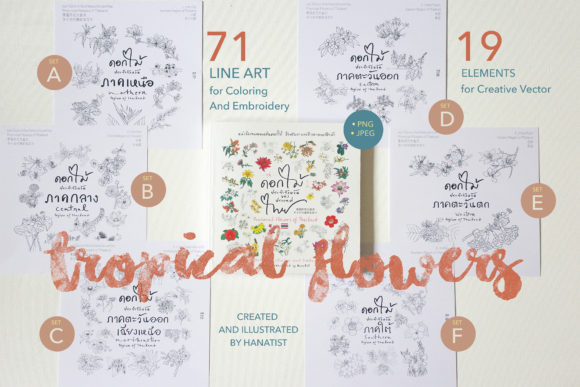 Discover the Beauty of 71 Tropical Floral Line Art Bundle