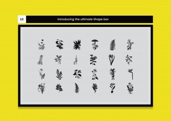 Discover the Versatility of 24 Floral Designs