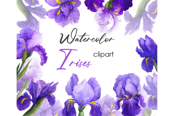 Explore the Beauty of Floral Clipart Watercolor Wild Floral for Your Creative Projects